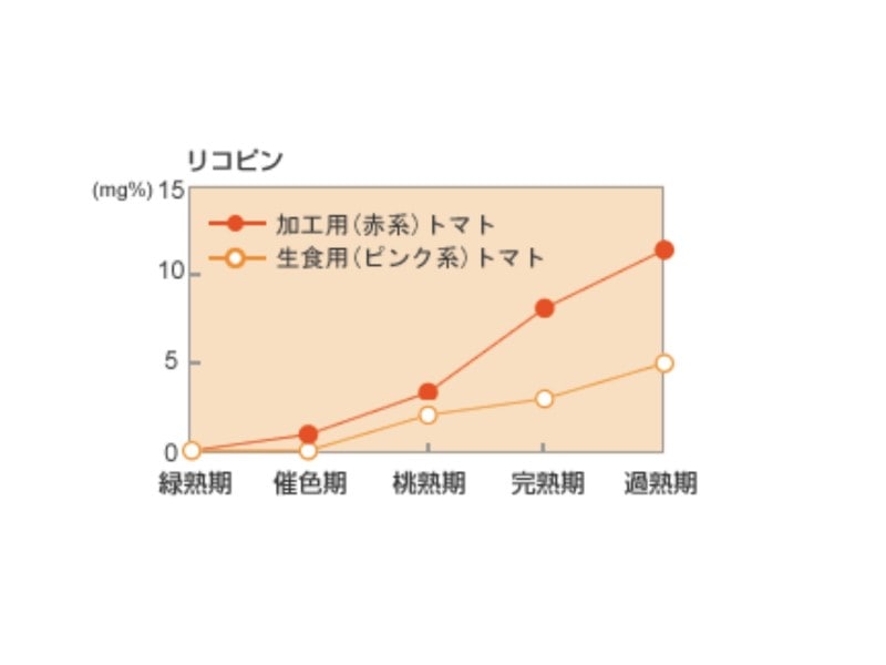 リコピンの量のグラフ